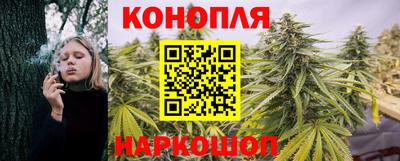 гидропоника Коммунар